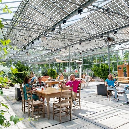 Achterhoeks Goed, Bed & Breakfast In Vragender Экстерьер фото