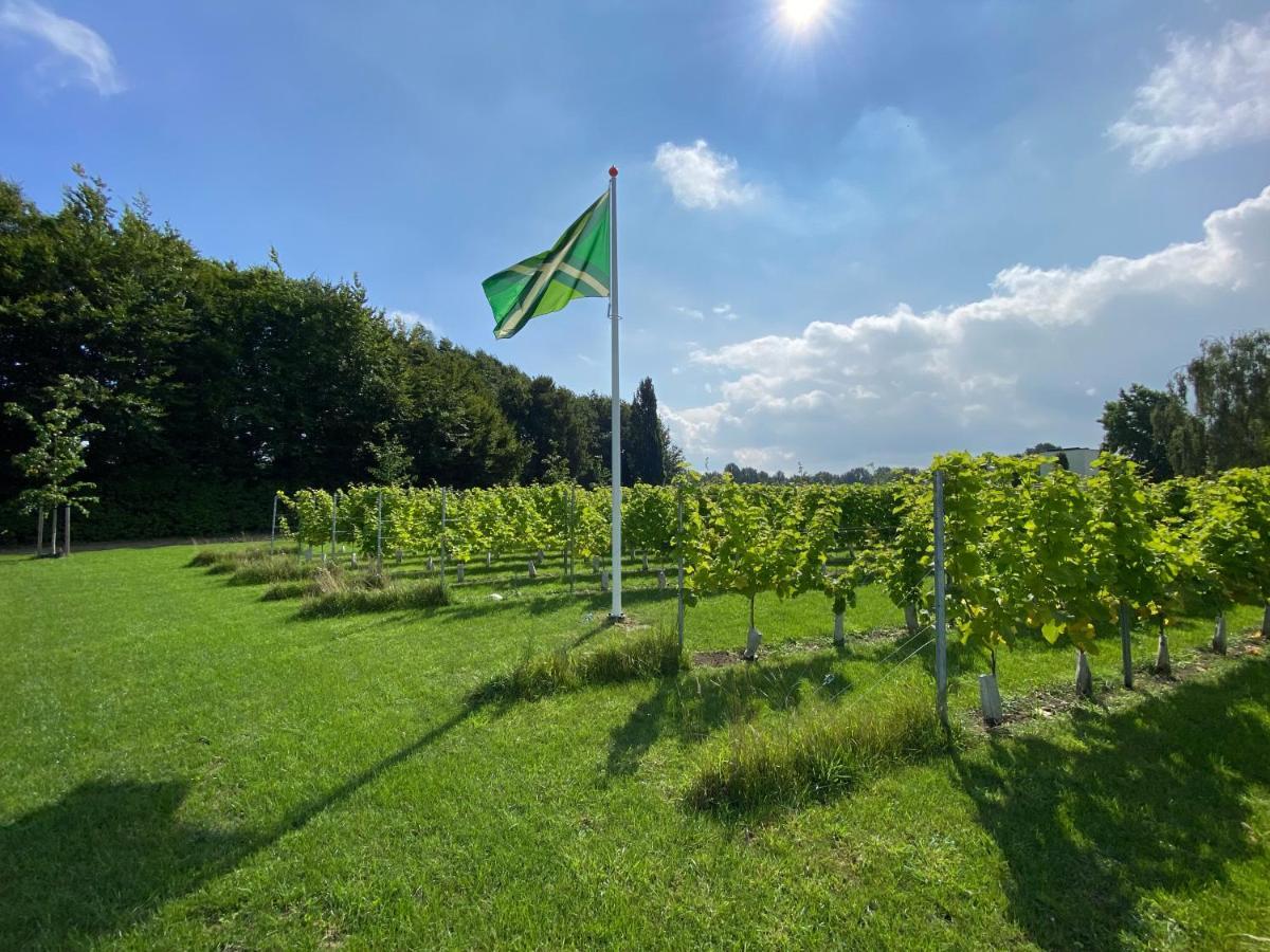 Achterhoeks Goed, Bed & Breakfast In Vragender Экстерьер фото