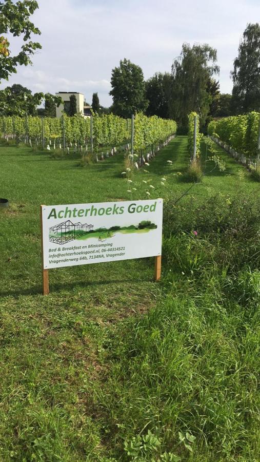 Achterhoeks Goed, Bed & Breakfast In Vragender Экстерьер фото